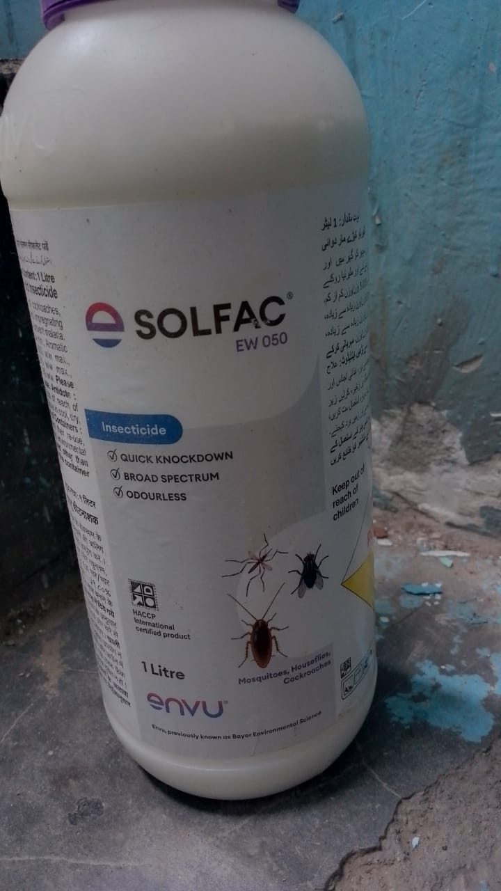 Mosquito Control